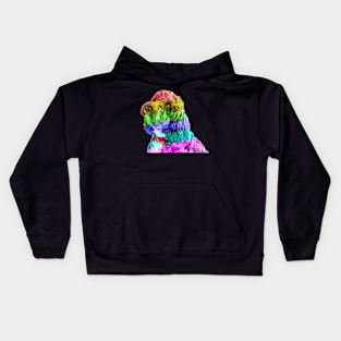 Rainbow Cockapoo 2 Kids Hoodie